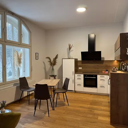 Modernes Fuer Monteure Und Geschaeftsreisende 아파트 *